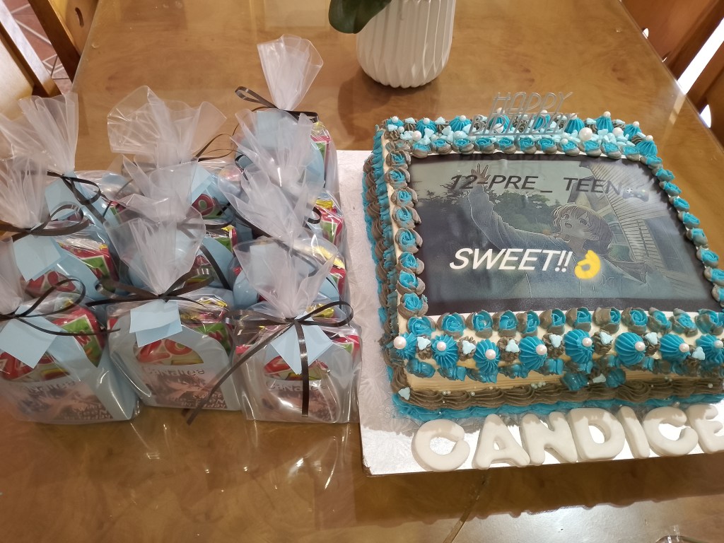 Themed birthday cake with party packs